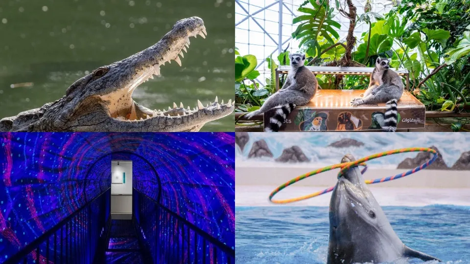 Crocodile Park Special Offer Combos &#8211; Upto 30% OFF - Image 1